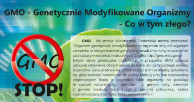 GMO genetycznie modyfikowane organizmy. Co w tym złego?